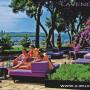 Chorvátsko - Lavender bed bar pri hoteli Adriatic nahlad