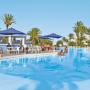 Palm Inn
